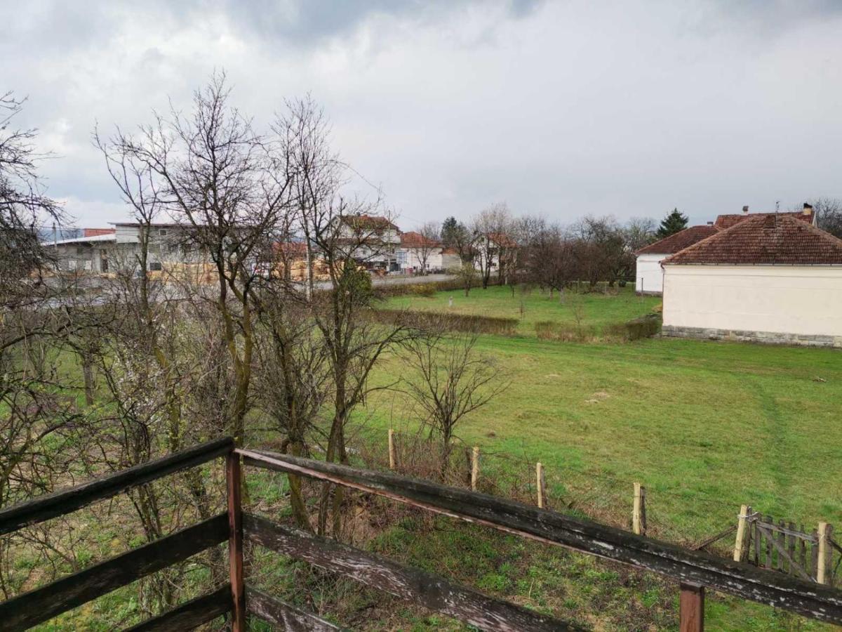 Vila Milica Kraljevo Luaran gambar